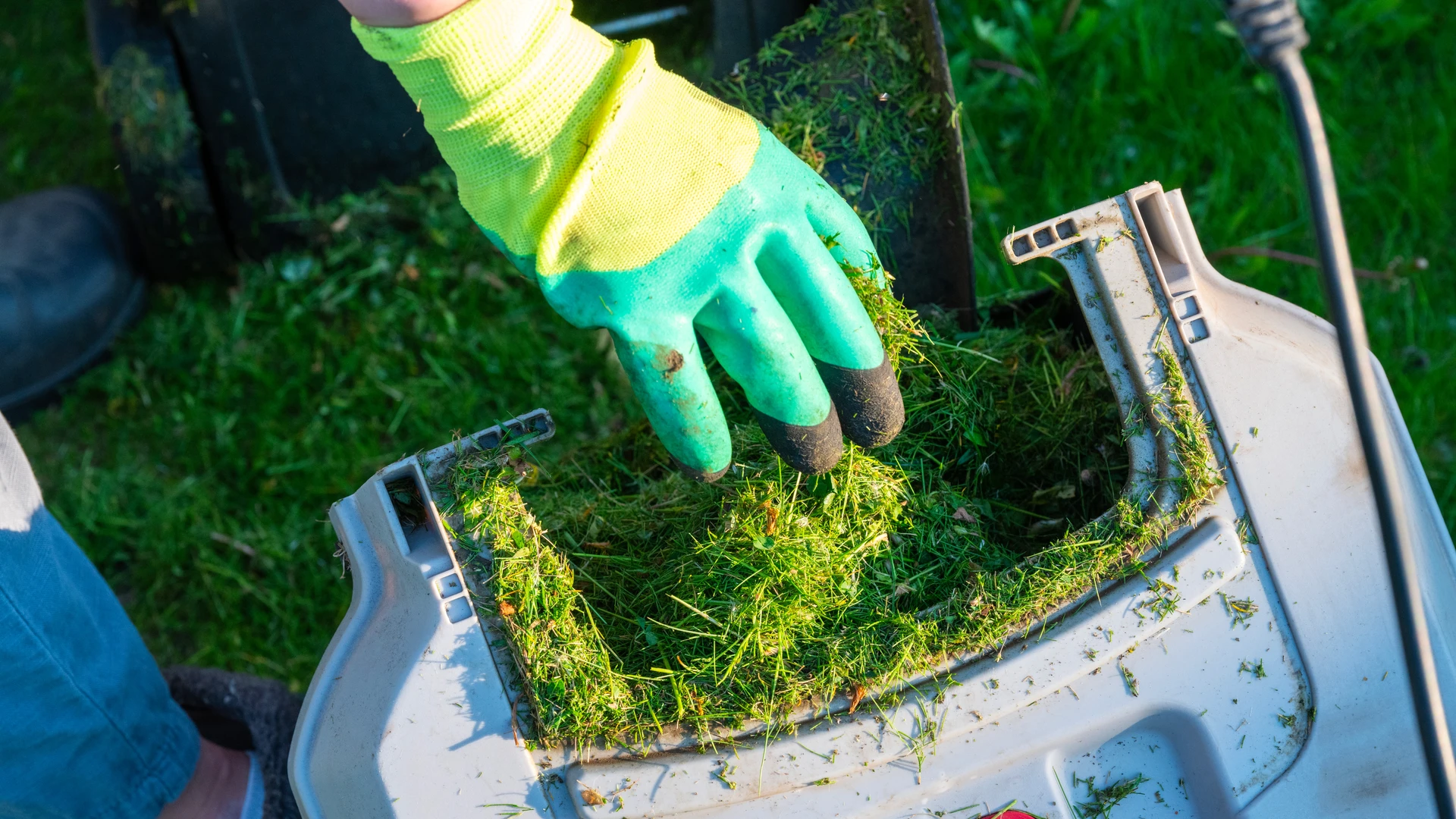 Professionnel en tenue de travail beige utilisant une tondeuse électrique sur pelouse verte bien entretenue dans jardin paysager avec arbustes taillés en arrière-plan