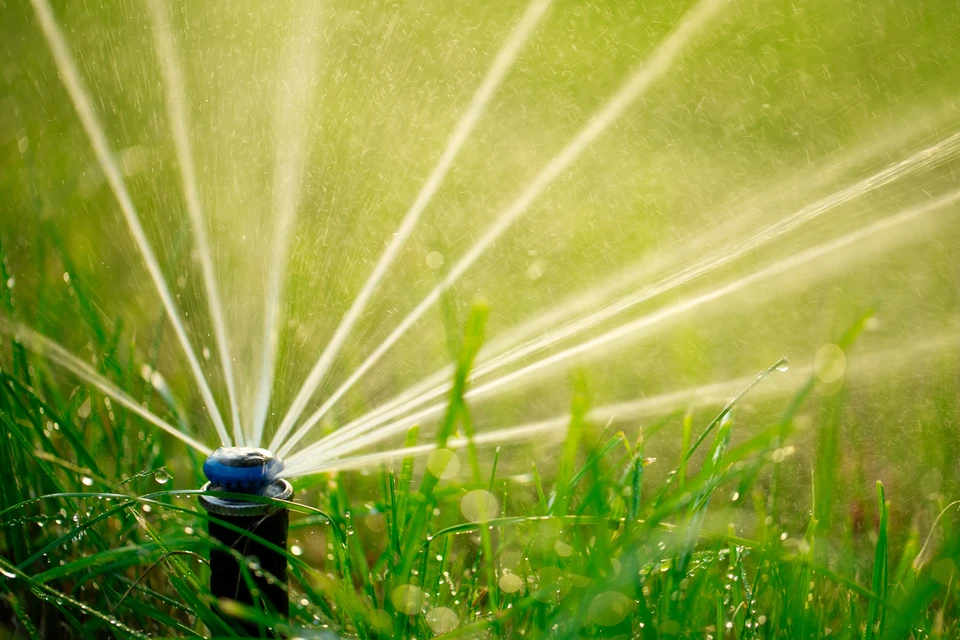 Scène extérieure de jardin avec système d'arrosage automatique en fonctionnement sur pelouse verte