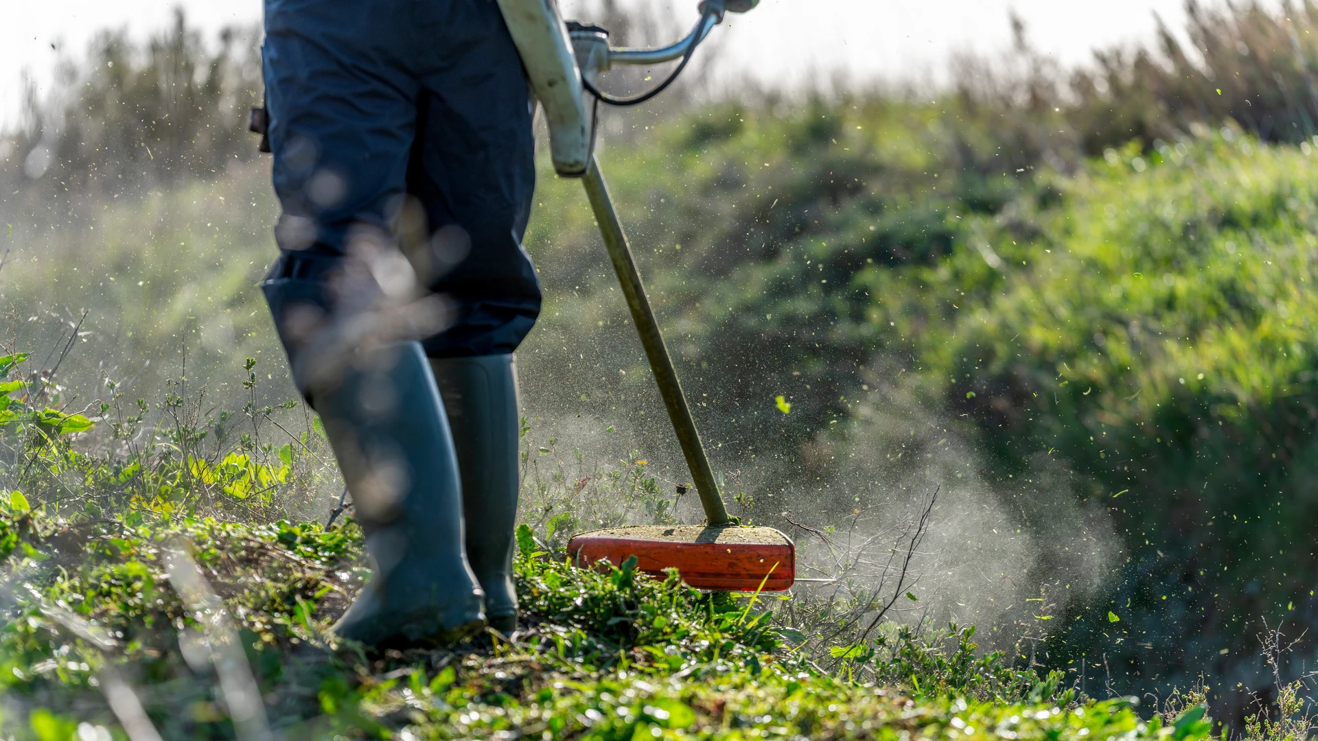 Scène extérieure d'entretien d'espaces verts avec opérateur utilisant débroussailleuse thermique sur terrain herbeux